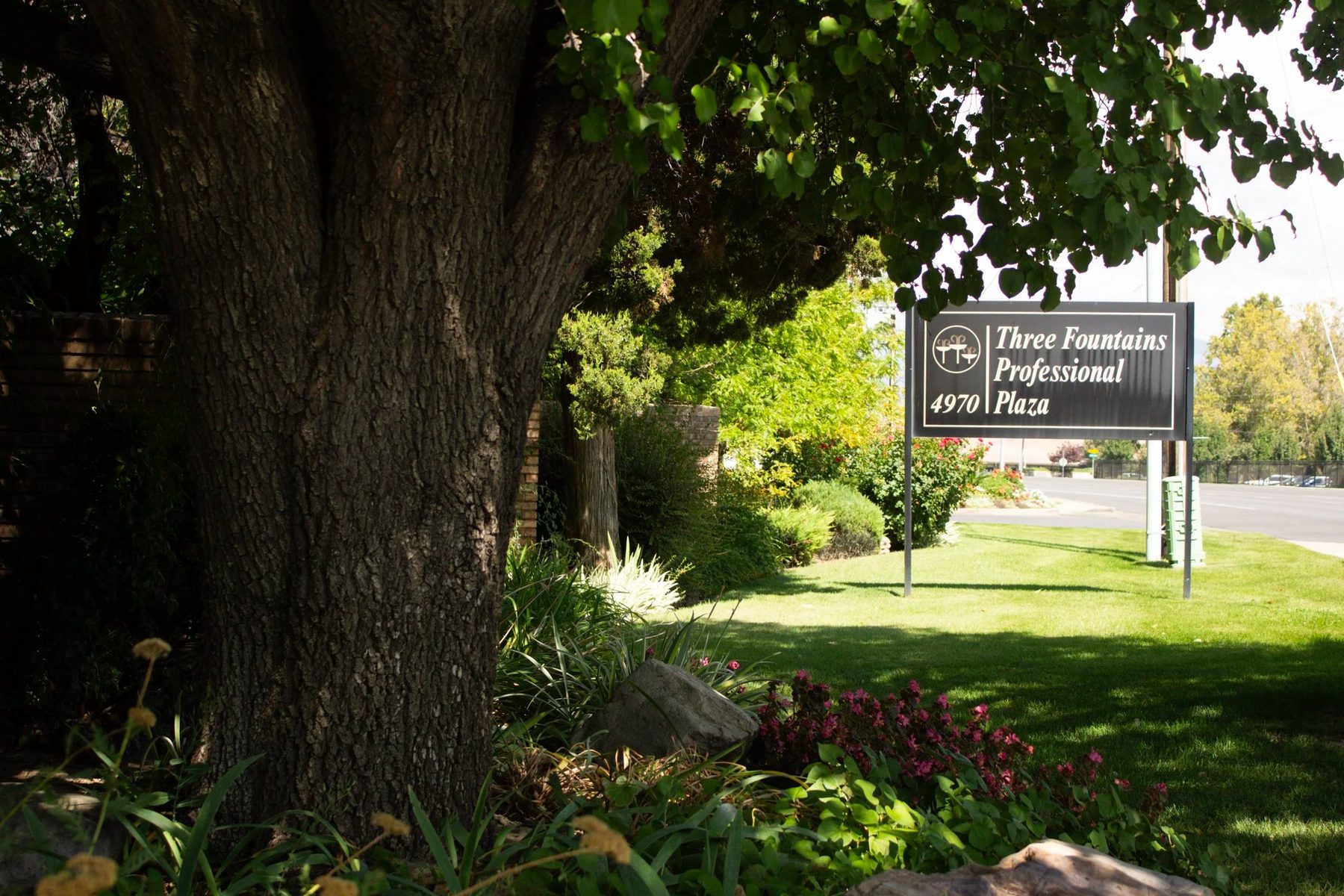 The Three Fountains Professional Plaza sign under a big shade tree